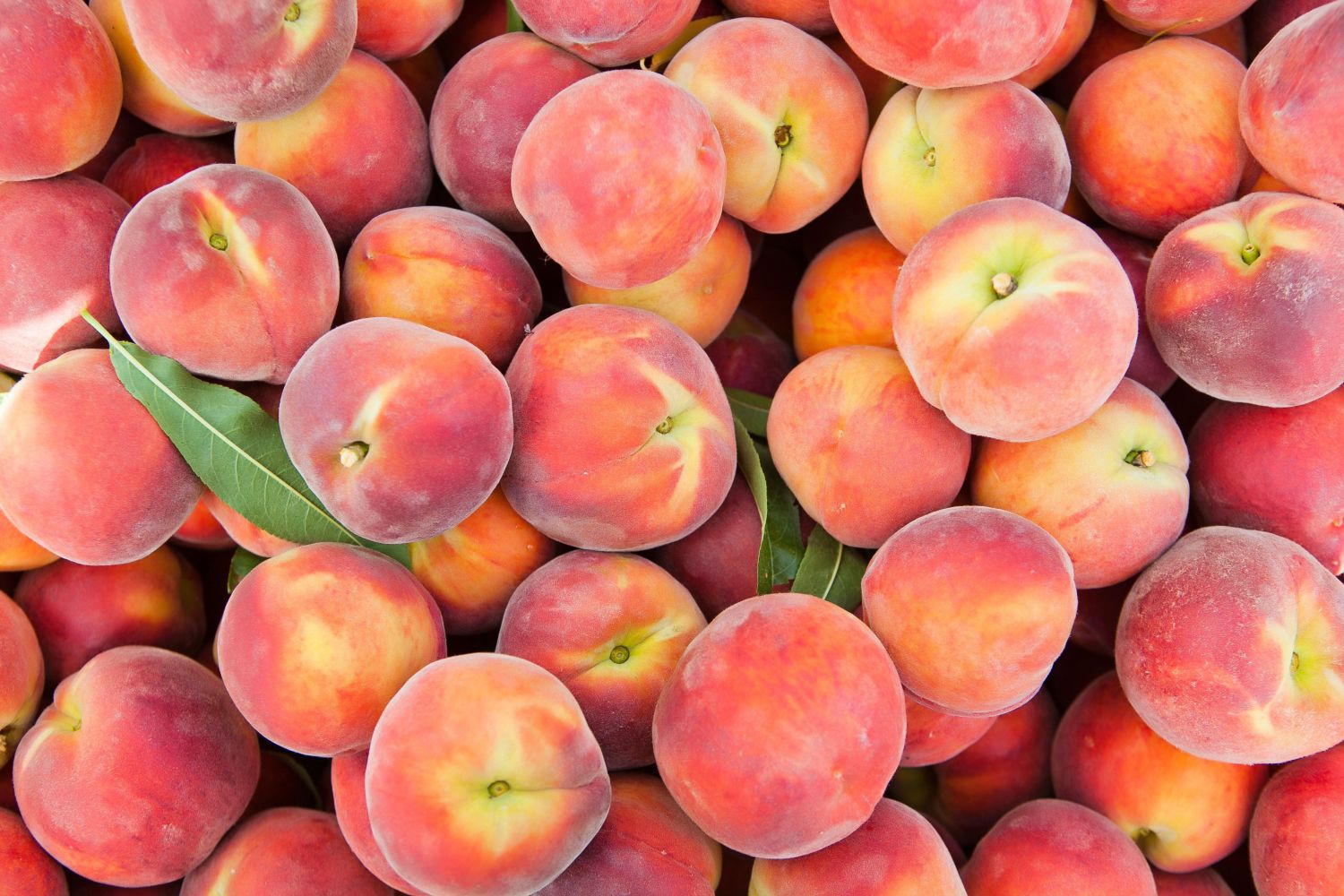 What's the Fastest Way to Ripen a Peach? | Kitchn