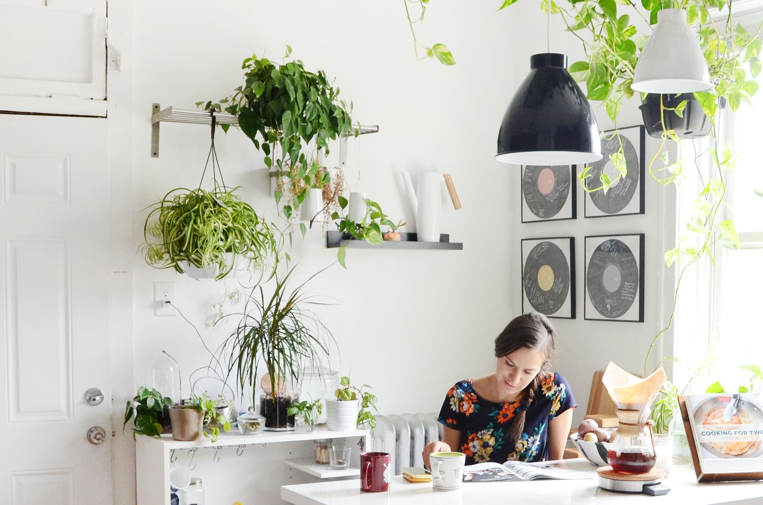 8 of the Best House Plants for the Kitchen Kitchn