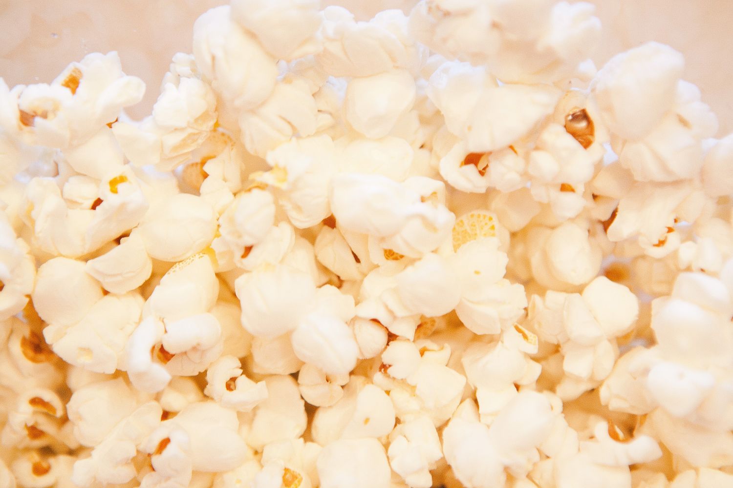 The Best Microwave Popcorn Is Made from Sprouted Corn Kernels Kitchn