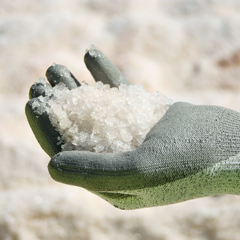 From Ocean to Box How Sea Salt Is Harvested Kitchn