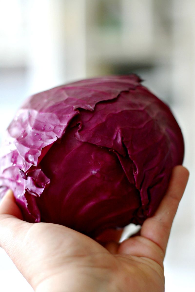 How To Shred Cabbage Kitchn