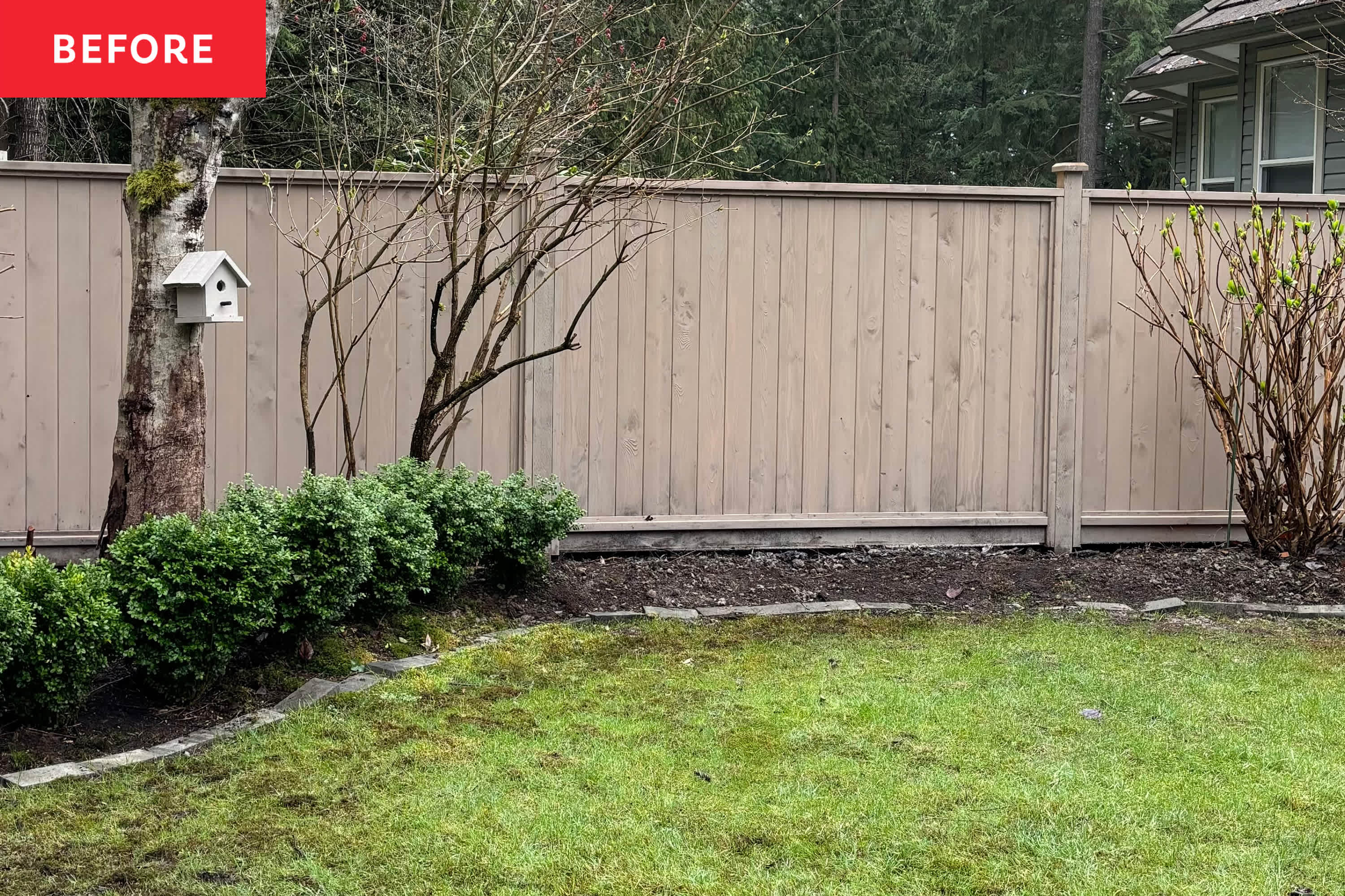 This Boring Backyard Corner Became a Gardeners Dream