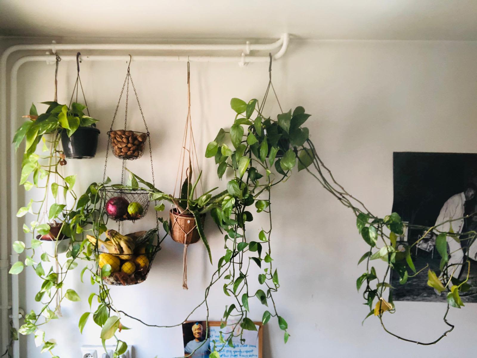Don't Throw Away Your Used Tea Bags — Try My Grandma's Plant Trick Instead