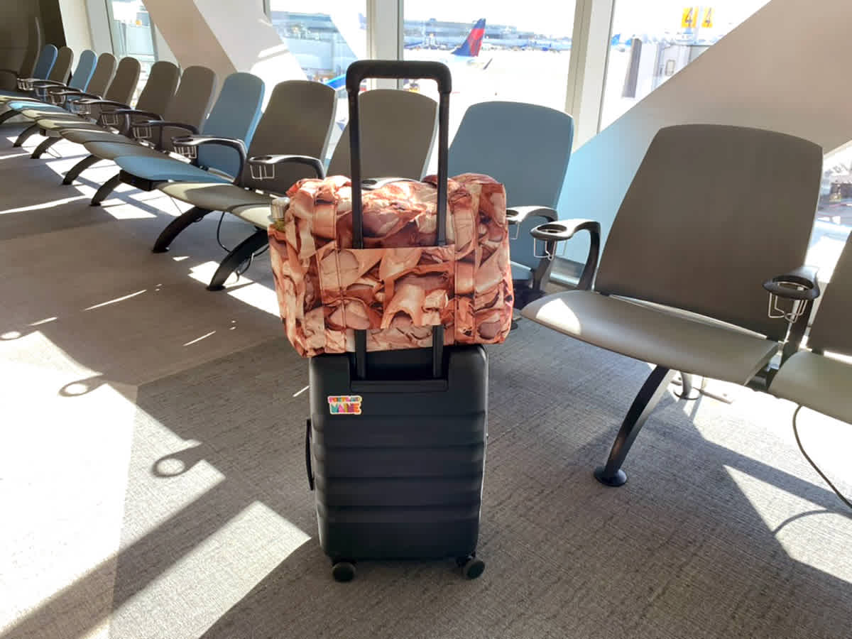 I Saw This Cult-Favorite Bag Everywhere, and Now Its My Forever Carry-On