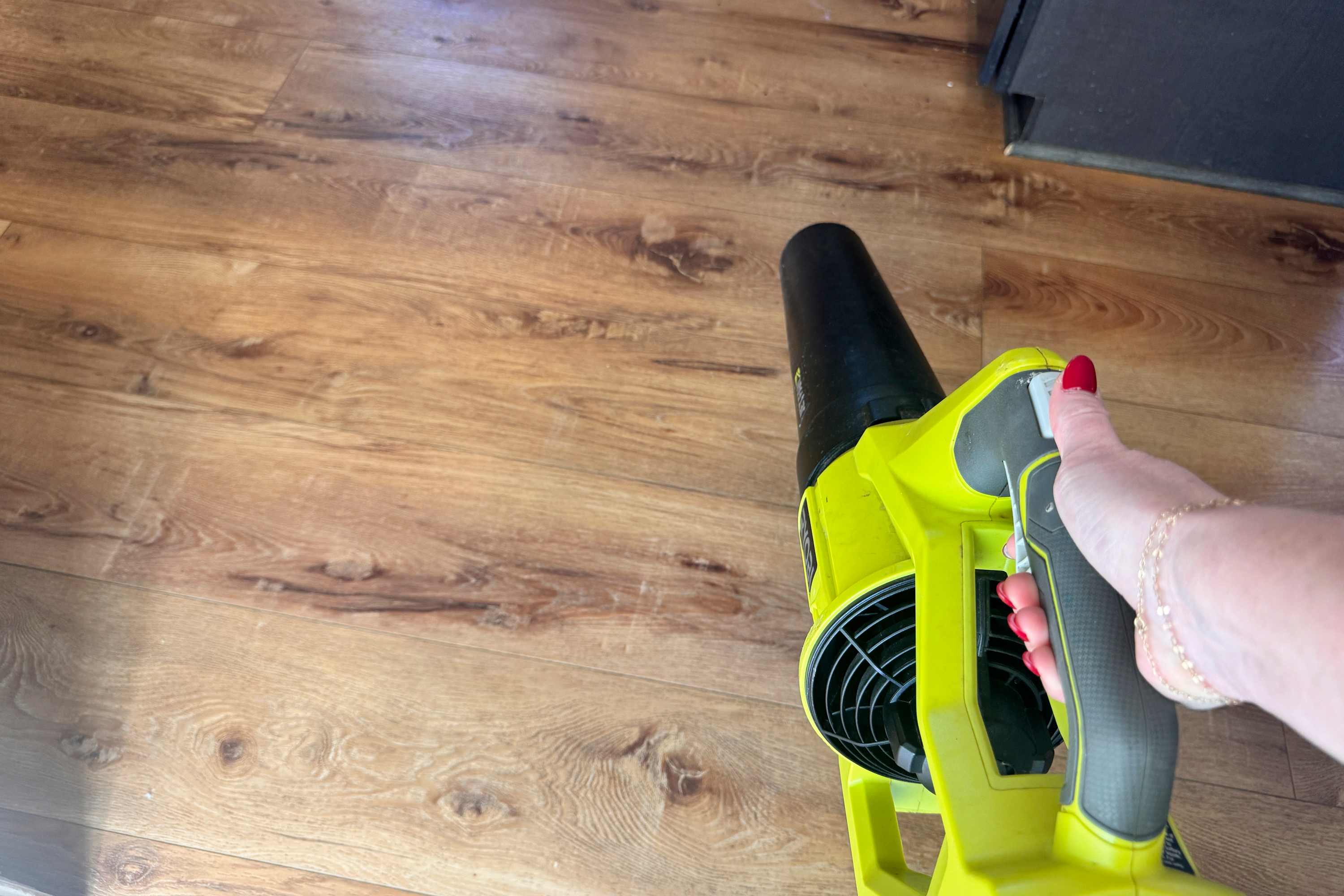 I Used a Leaf Blower to Clean Inside My House, and It Actually Worked