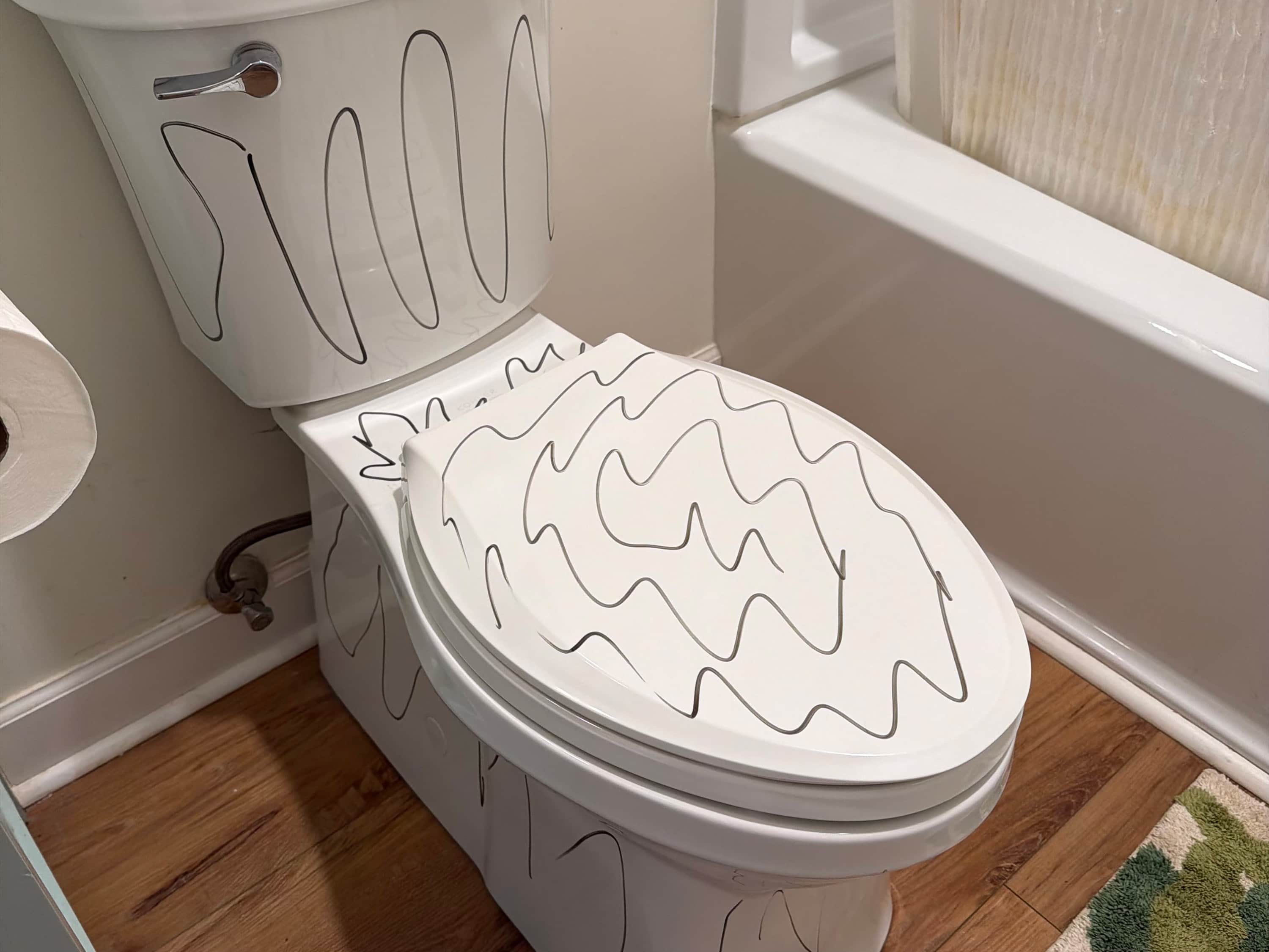 I Put Marker All Over My Toilet (the Rea