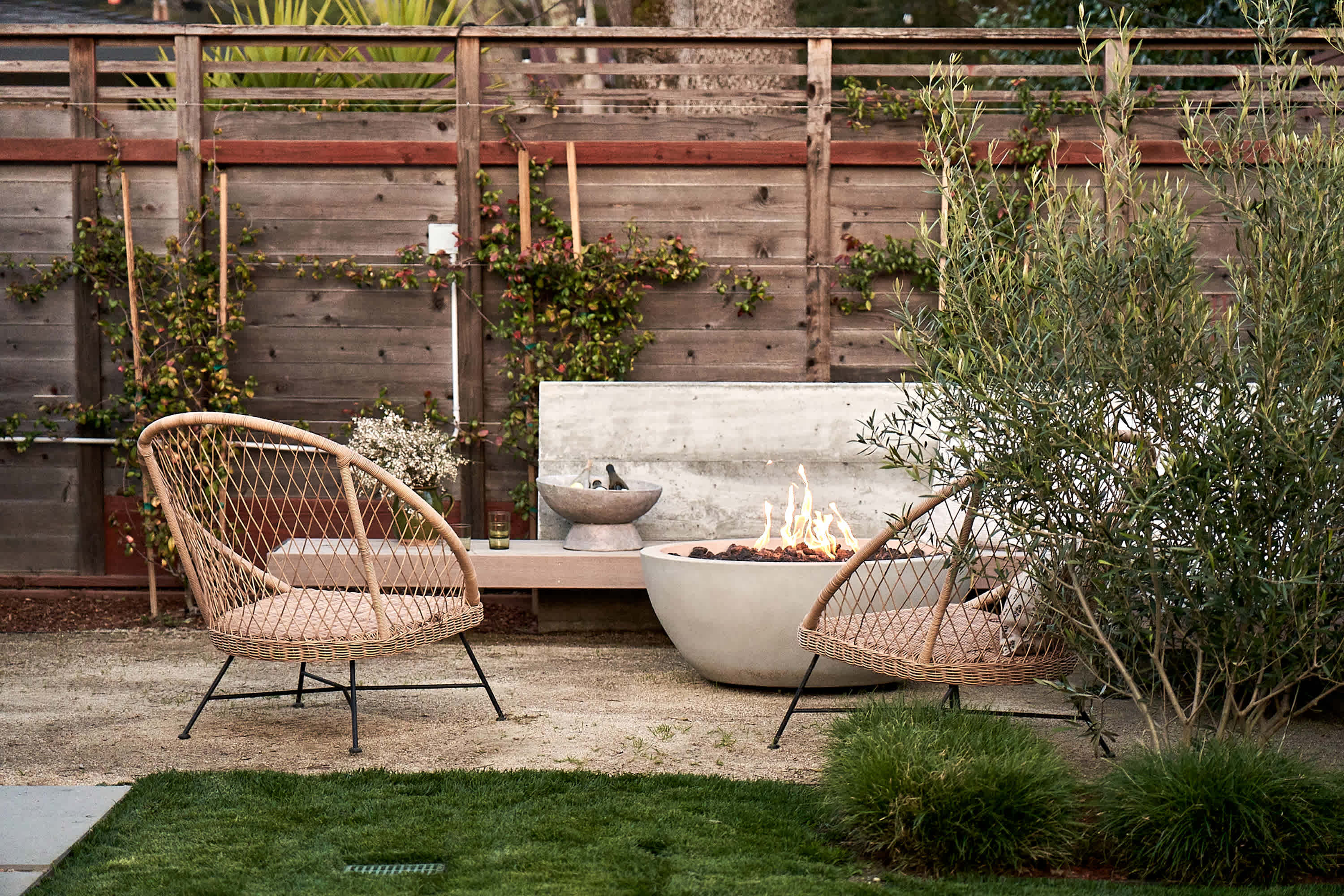 Why Americans Are Ditching Lawns and Fir