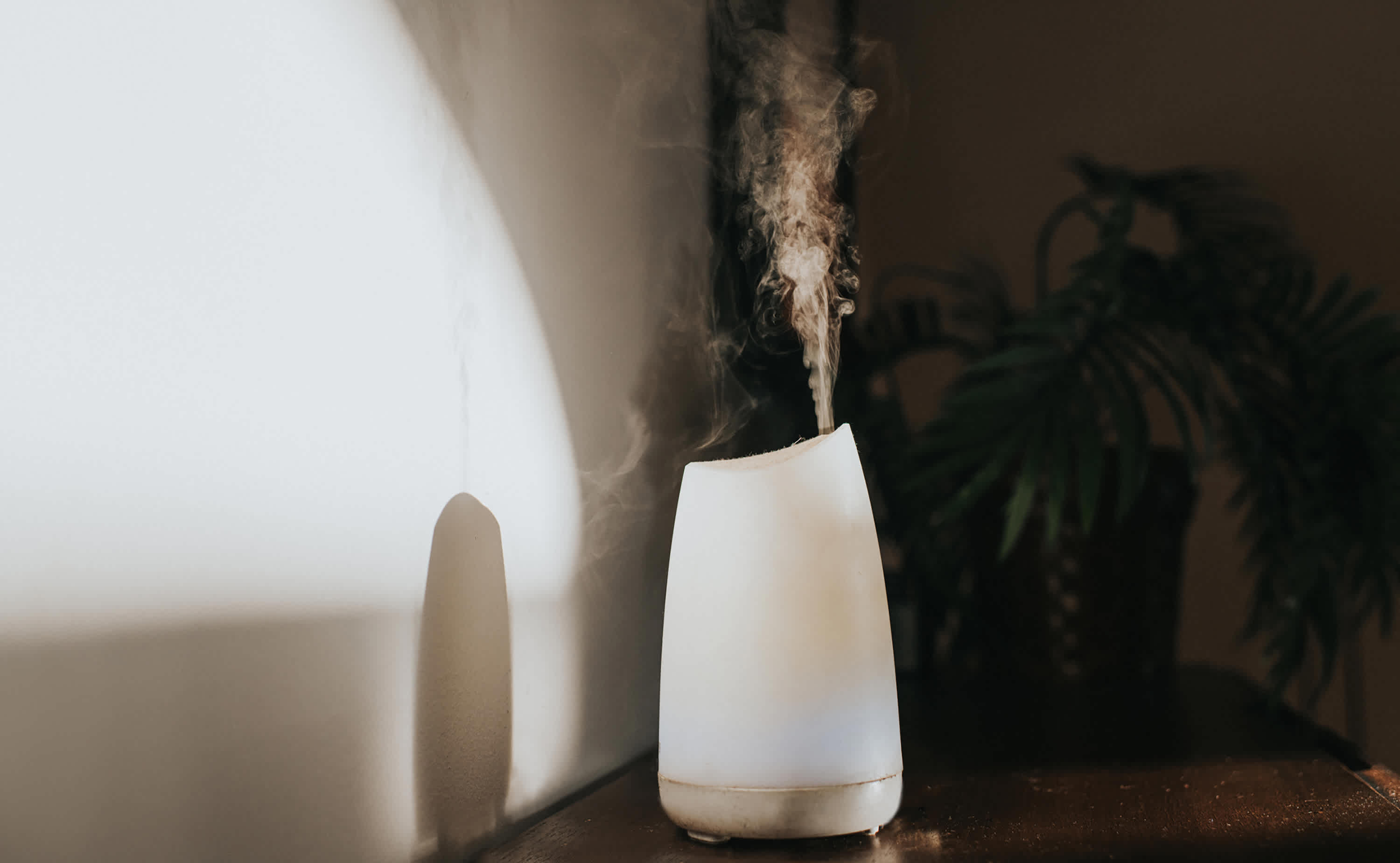 This Fancy Diffuser Made My Apartment Sm