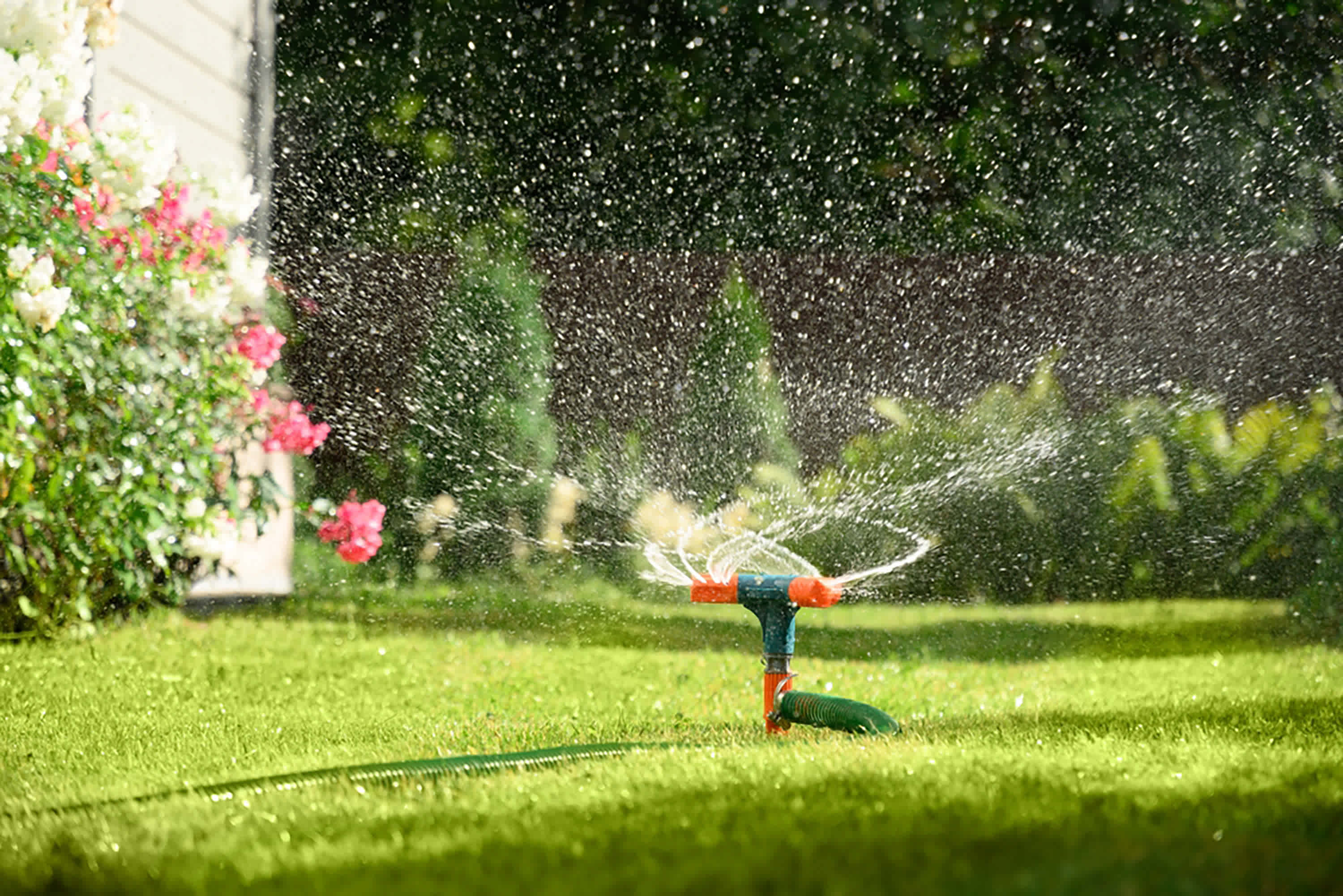 How to Fix a Patchy Lawn Before Summer — 3 Expert-Backed Tips