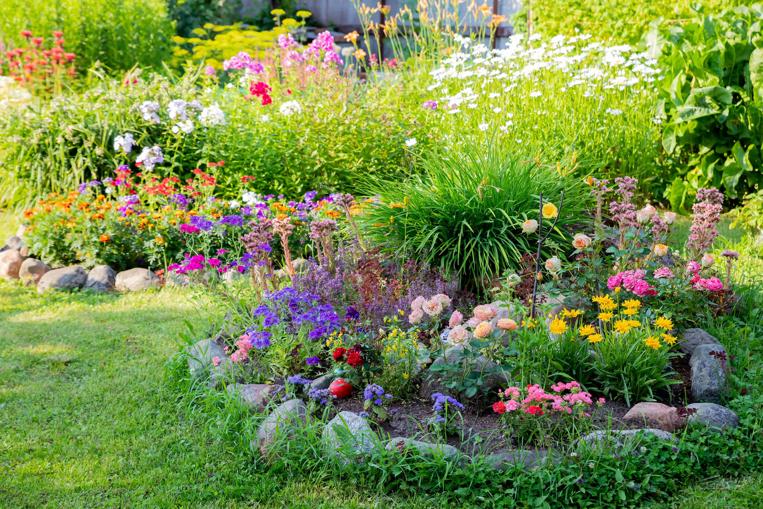 6 Best Bang-for-Your-Buck Garden Plants That Are Gorgeous