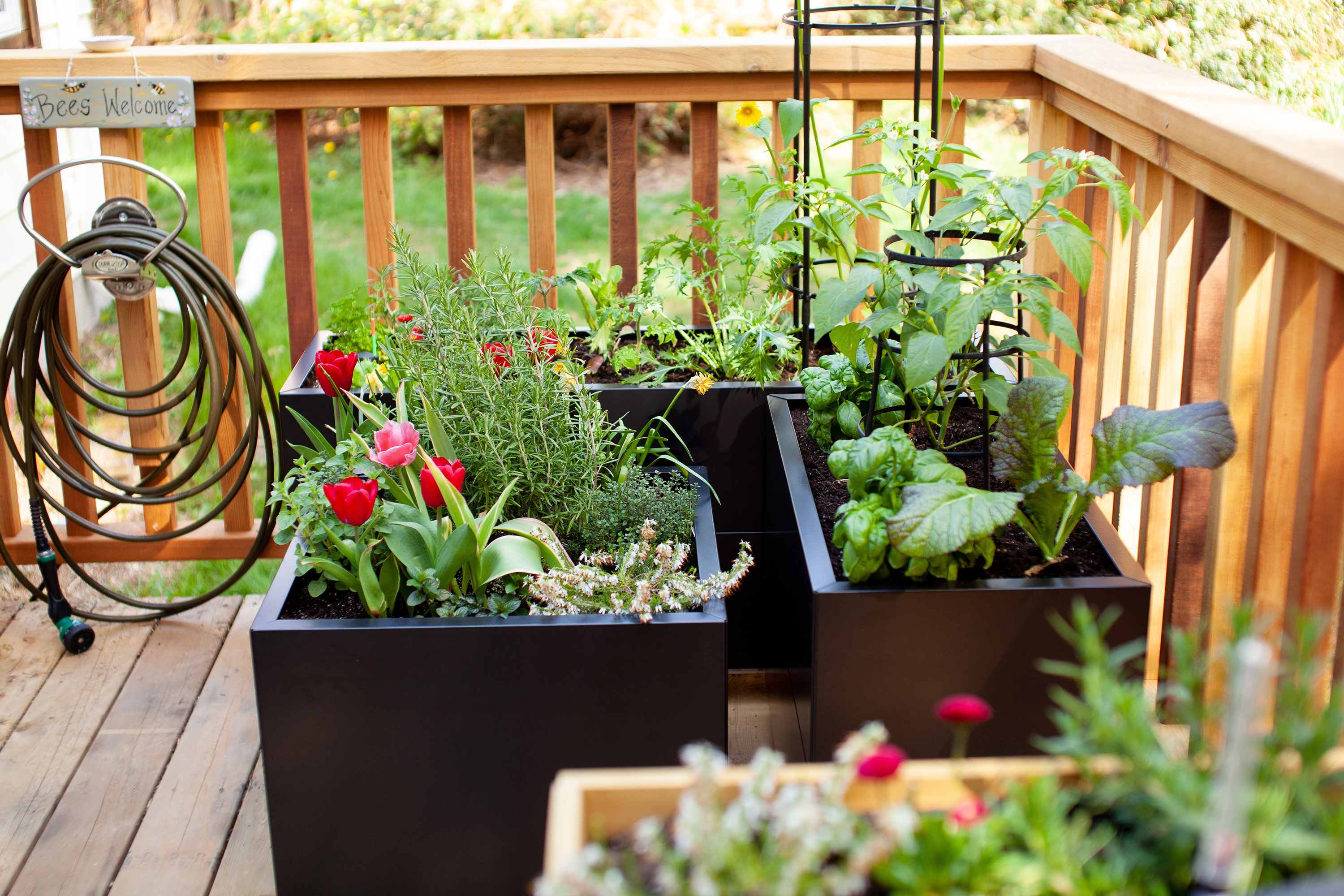 Stop Throwing Out These 3 Kitchen Scraps — Use Them to Garden Instead