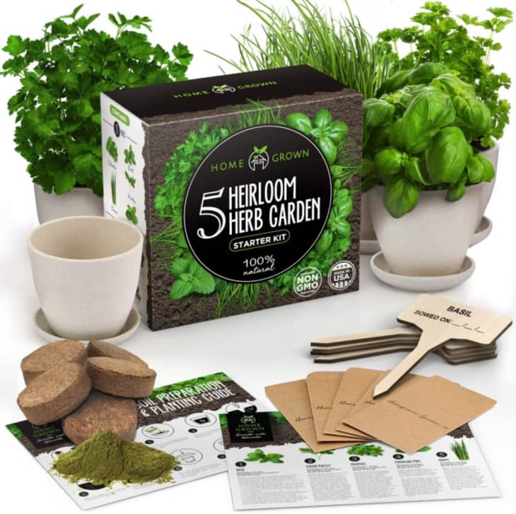 Product Image: Home Grown Indoor Herb Garden Starter Kit