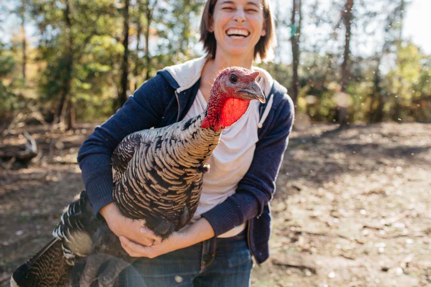 k%2FPhoto%2FPeople%2F2019-11-TWWE-Amanda-Jones-Doko-Farm%2FTWWE-Doko-Farm-LSHORTER--9 🐑 Çiftçilere Faizsiz Kredi, 15 Bin TL Destek ve 100 Küçükbaş! Başvuru Tarihi Açıklandı