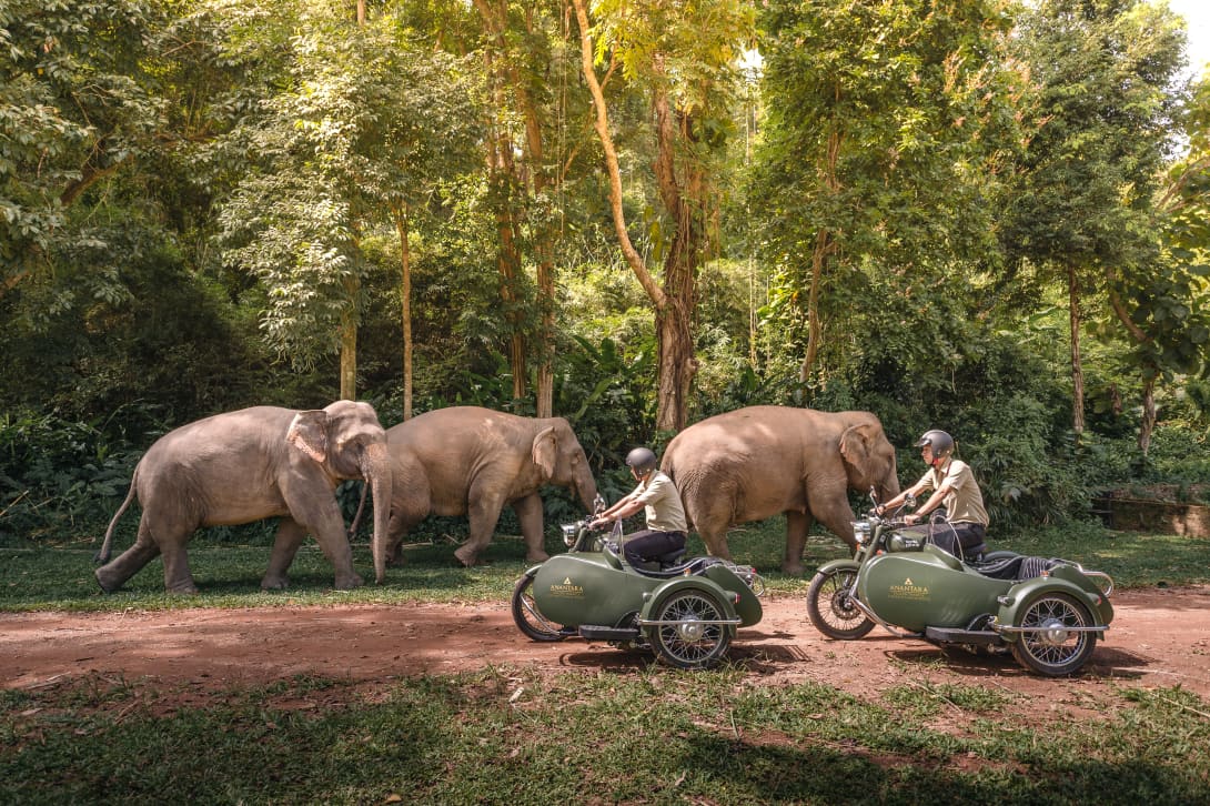 Image: Anantara Golden Triangle Elephant Camp & Resort