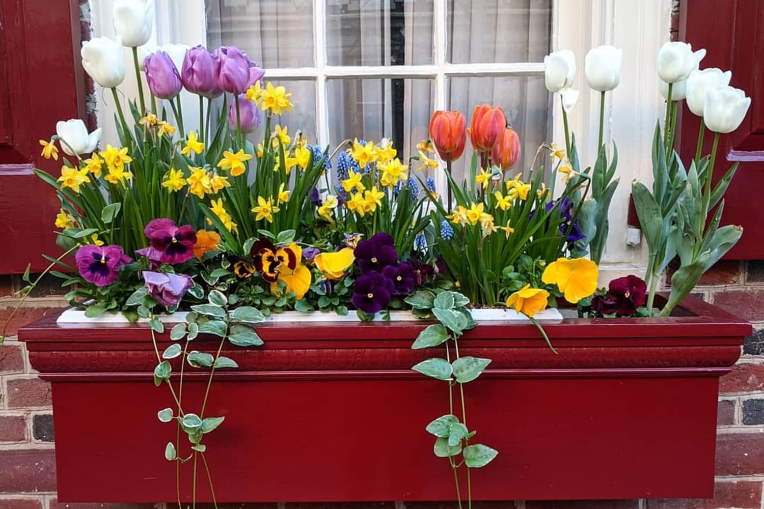 Foto de Spiritual home balcony decor with heather flowers