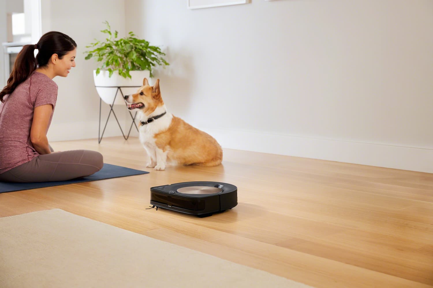 Bed Bath & Beyond's Sale On Top-Rated Roombas | Kitchn