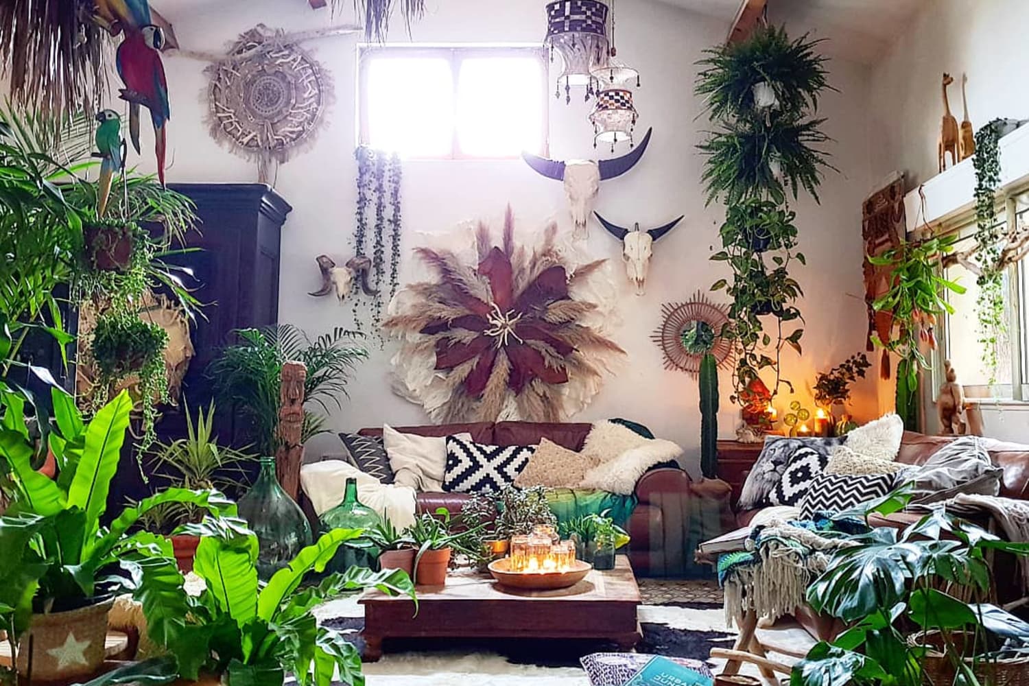 Bohemian, Plant-Filled Renovated Home Tour | Apartment Therapy