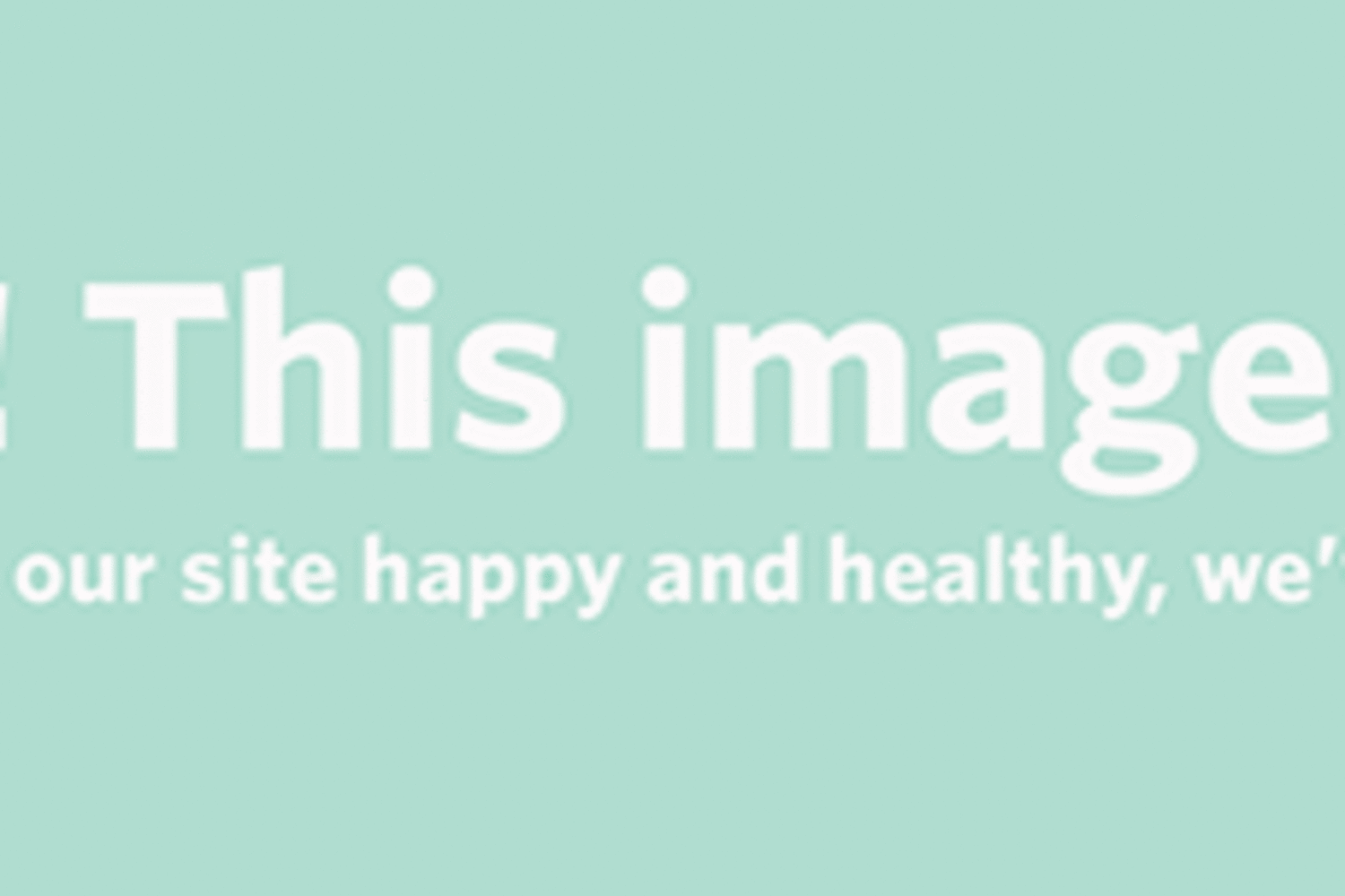 All About Bamboo Flooring Kitchn