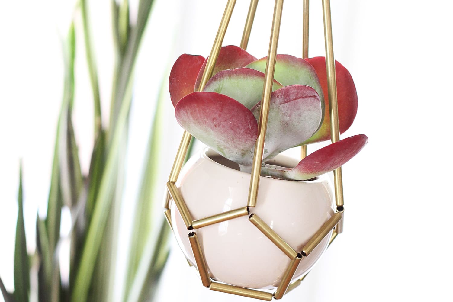 DIY Brass Hanging Planter | Apartment Therapy