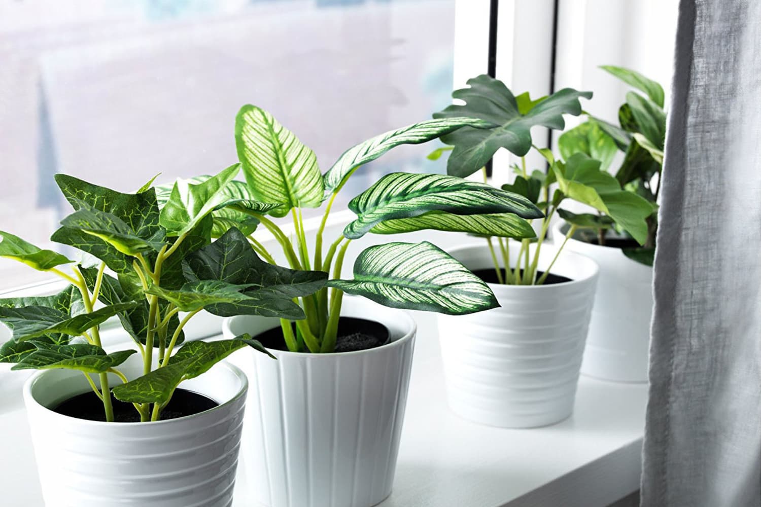how to pick the best fake plants: a faux plant buying guide 2021