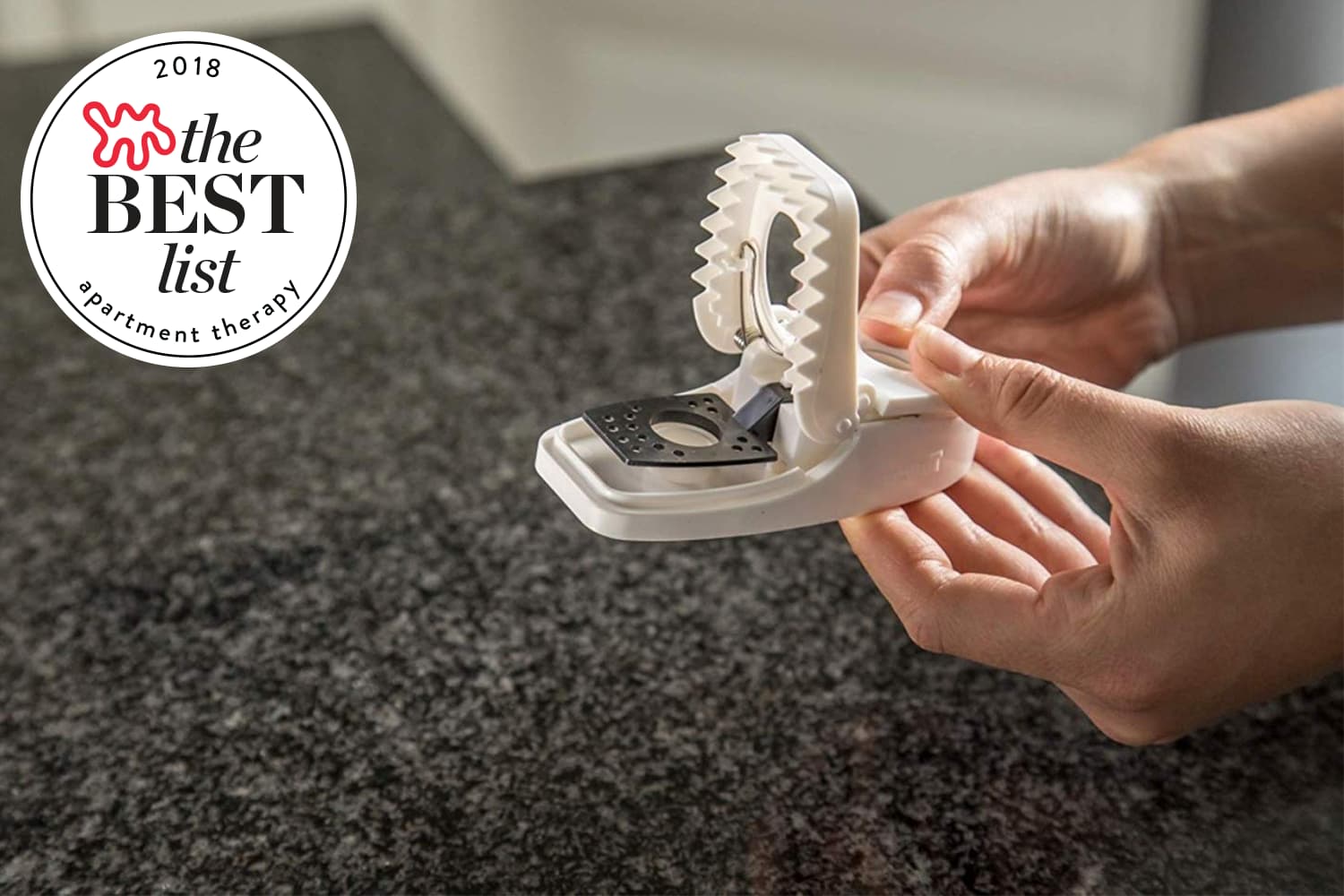 The Best Mouse Traps to Buy - Humane, Electric, Snap ...