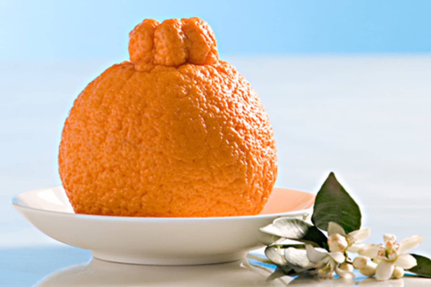 Sumo Citrus: The Sweetest Citrus Ever? | Kitchn