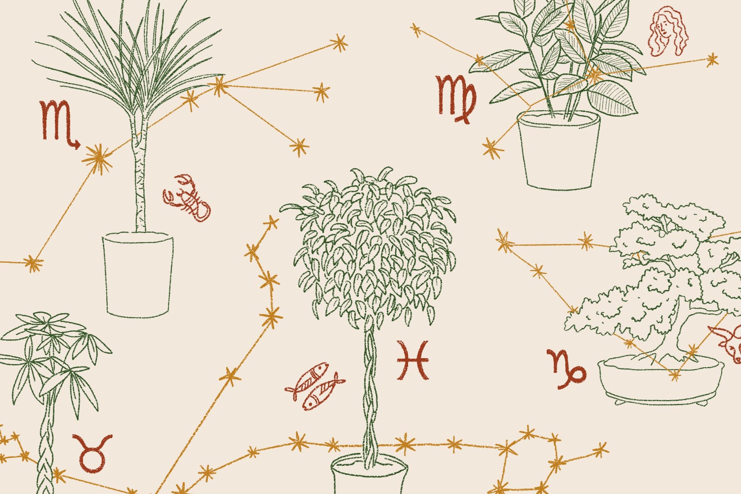How to Feng Shui with Houseplants Based on Your Astrological Sign |  Apartment Therapy
