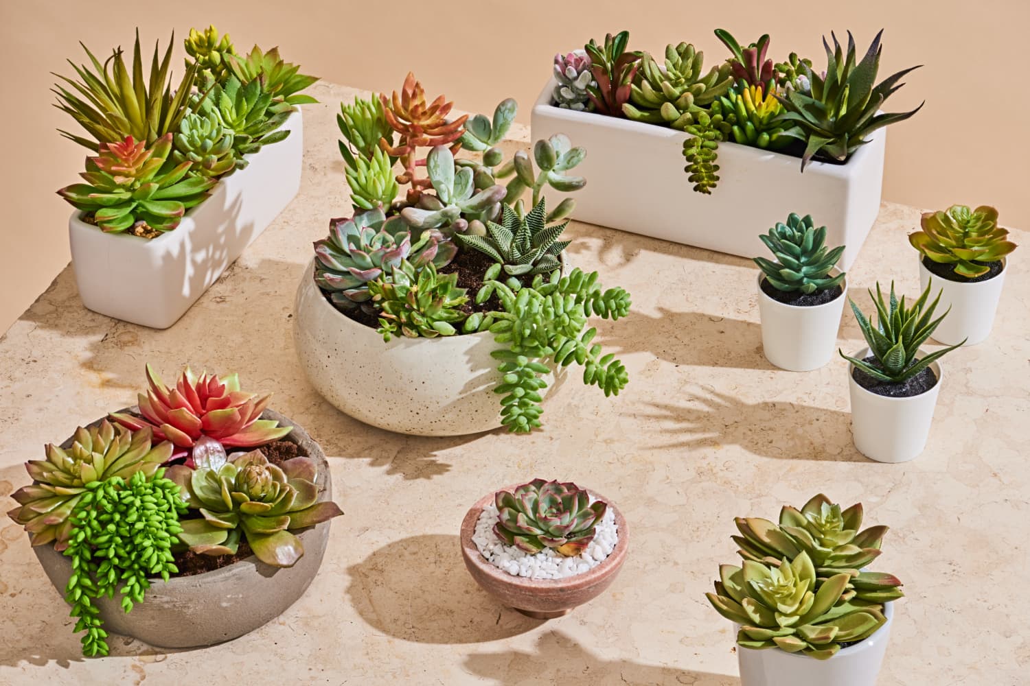 Plastic Succulent Plants Foliage Flower Mini Faux Artificial Decor Cactus Pot 