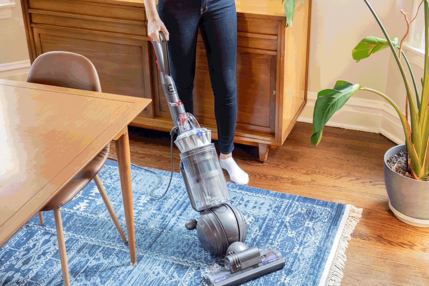 6 Vacuuming Mistakes and What to do Instead Kitchn