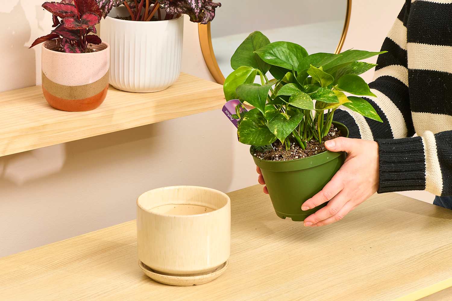 3d printed plant holder 3D Printed Plant Pot and Air Plant Holder – Stylish, Durable, Eco-Friendly, Modern Design, Indoor & Outdoor Use, Multiple Sizes & Colors, Lightweight