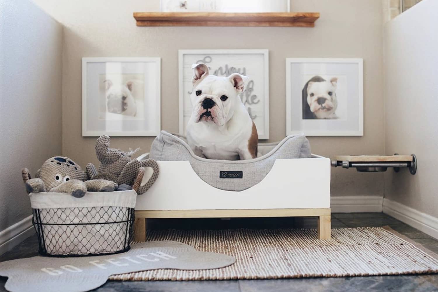 Dog Bed Placement: Bedroom or Living Room?