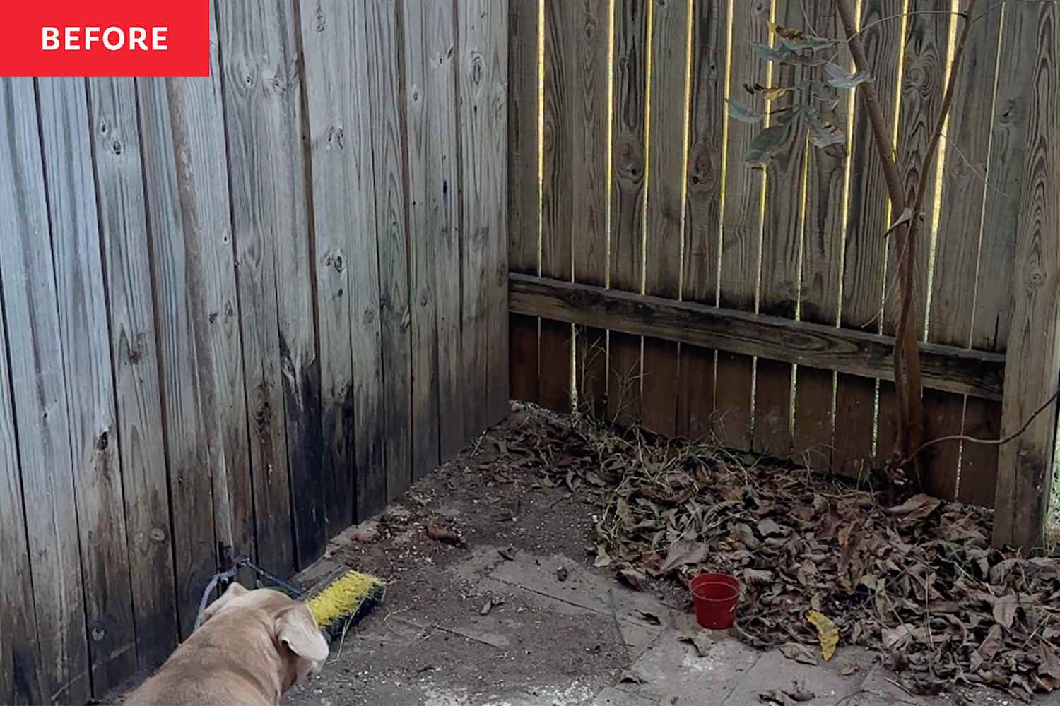 A Tiny, "Neglected" Backyard Became the Coziest European-Style Patio