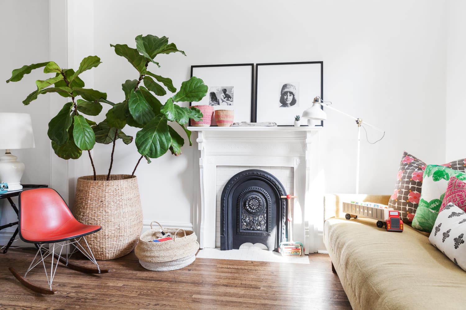 Fiddle Leaf Figs Had Their Moment - This Plant Just Replaced Them