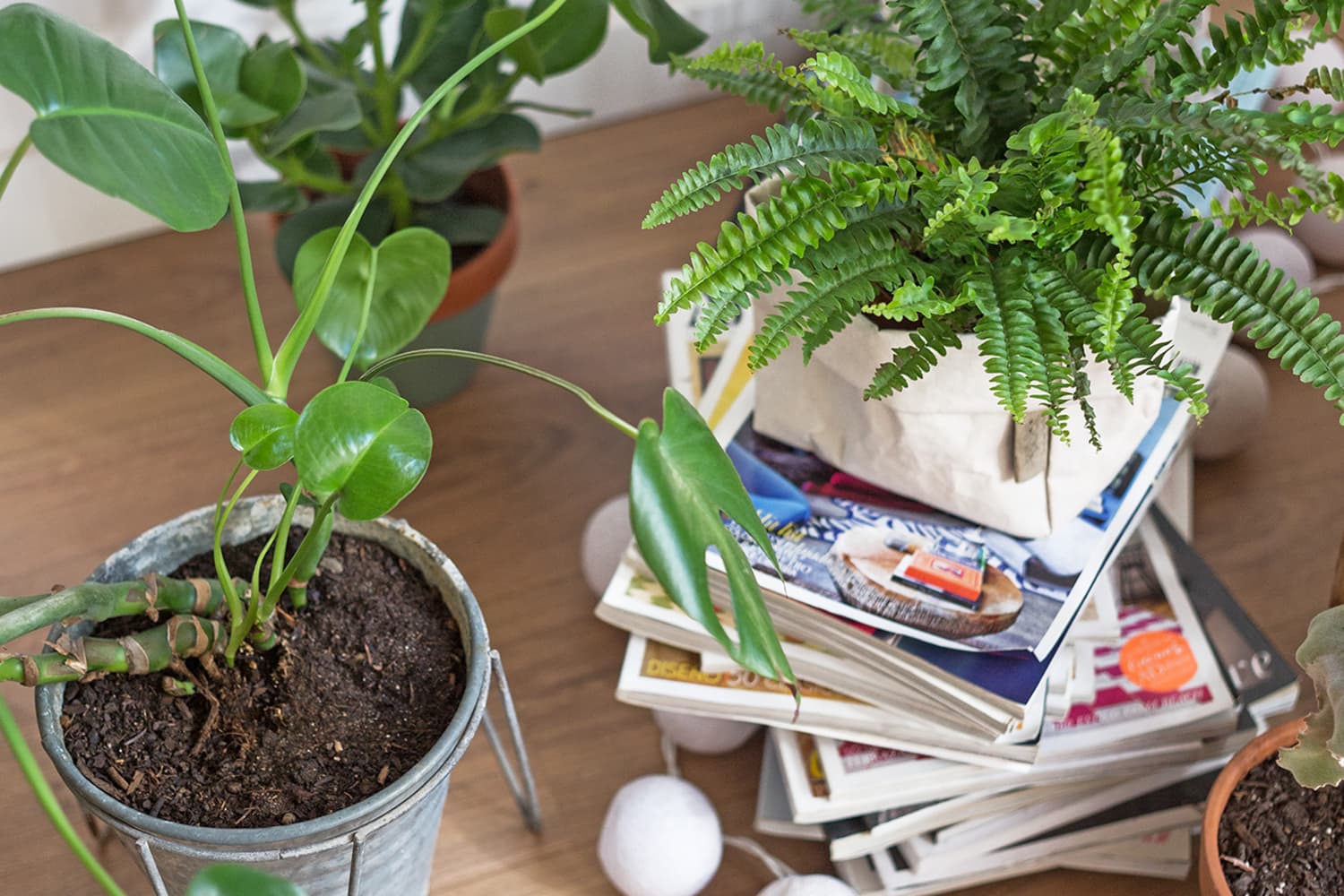 29 Gardening Hacks and Tips Anyone Can Use | Apartment Therapy