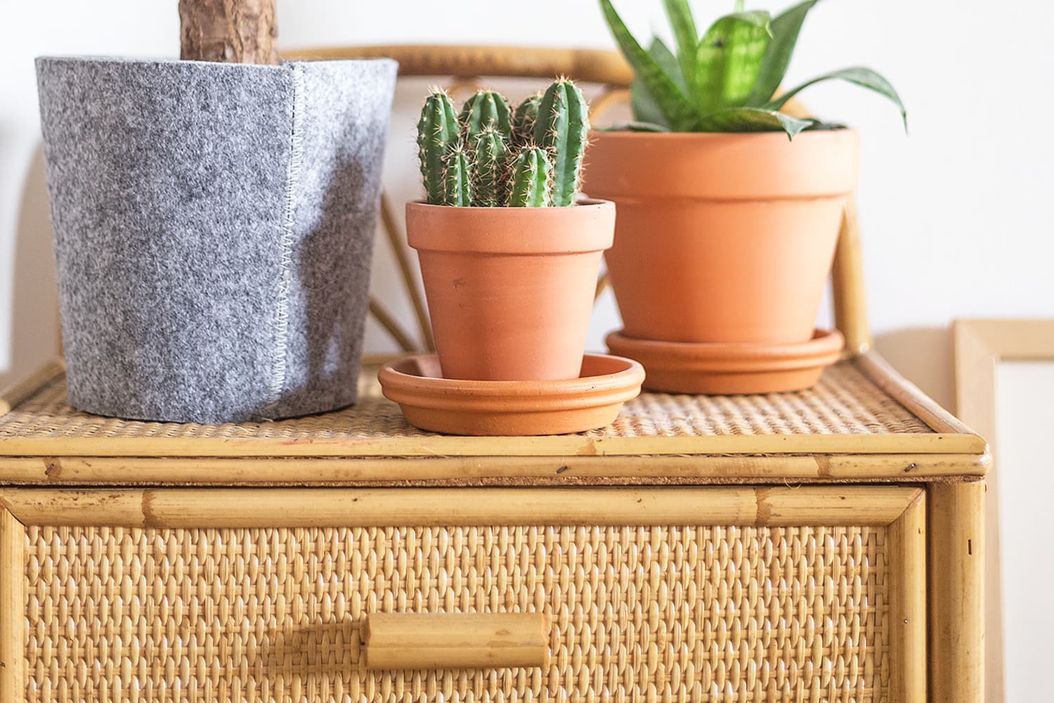 Details about   Ceramic Pot with Drainage Hole Rectangular Base Flower Pot Cactus Planter Pot 