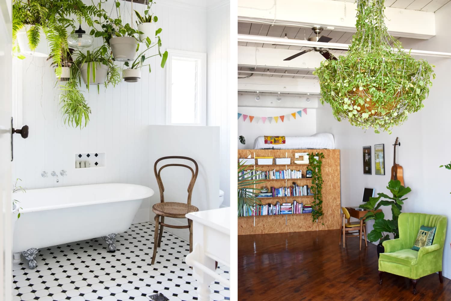 How to Display Houseplants: 98 of Our Favorite Plant-Display Ideas |  Apartment Therapy