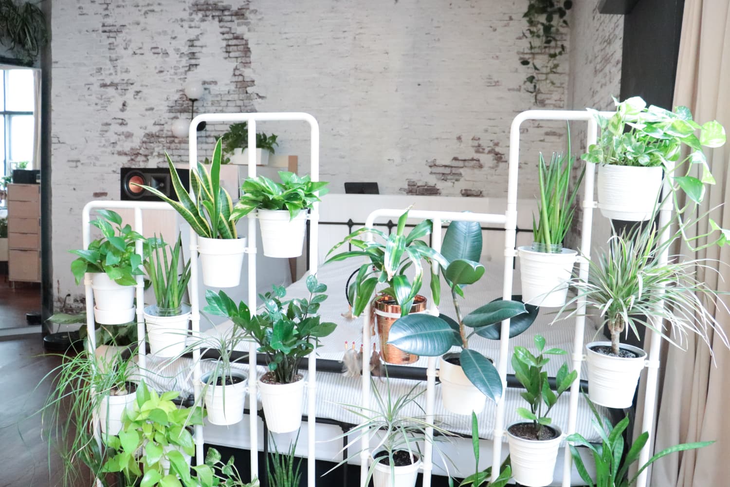 A TikToker Made a Greenhouse Out of an IKEA Cabinet | Apartment Therapy