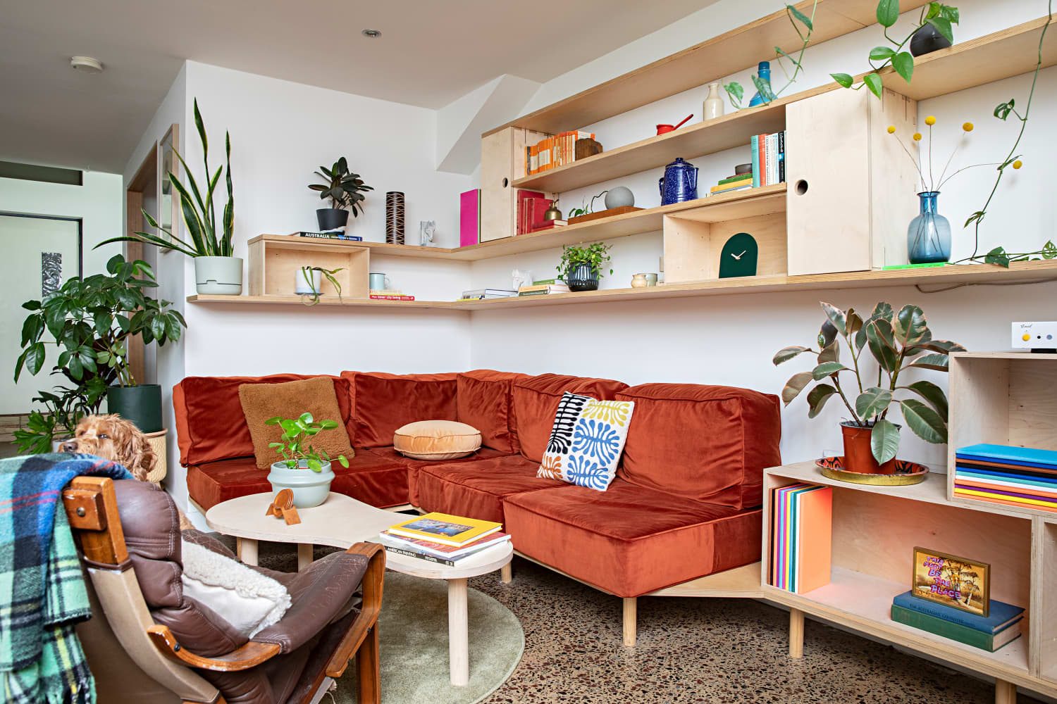 I Used the “Triangle Method” to Transform My Shelves | Apartment Therapy