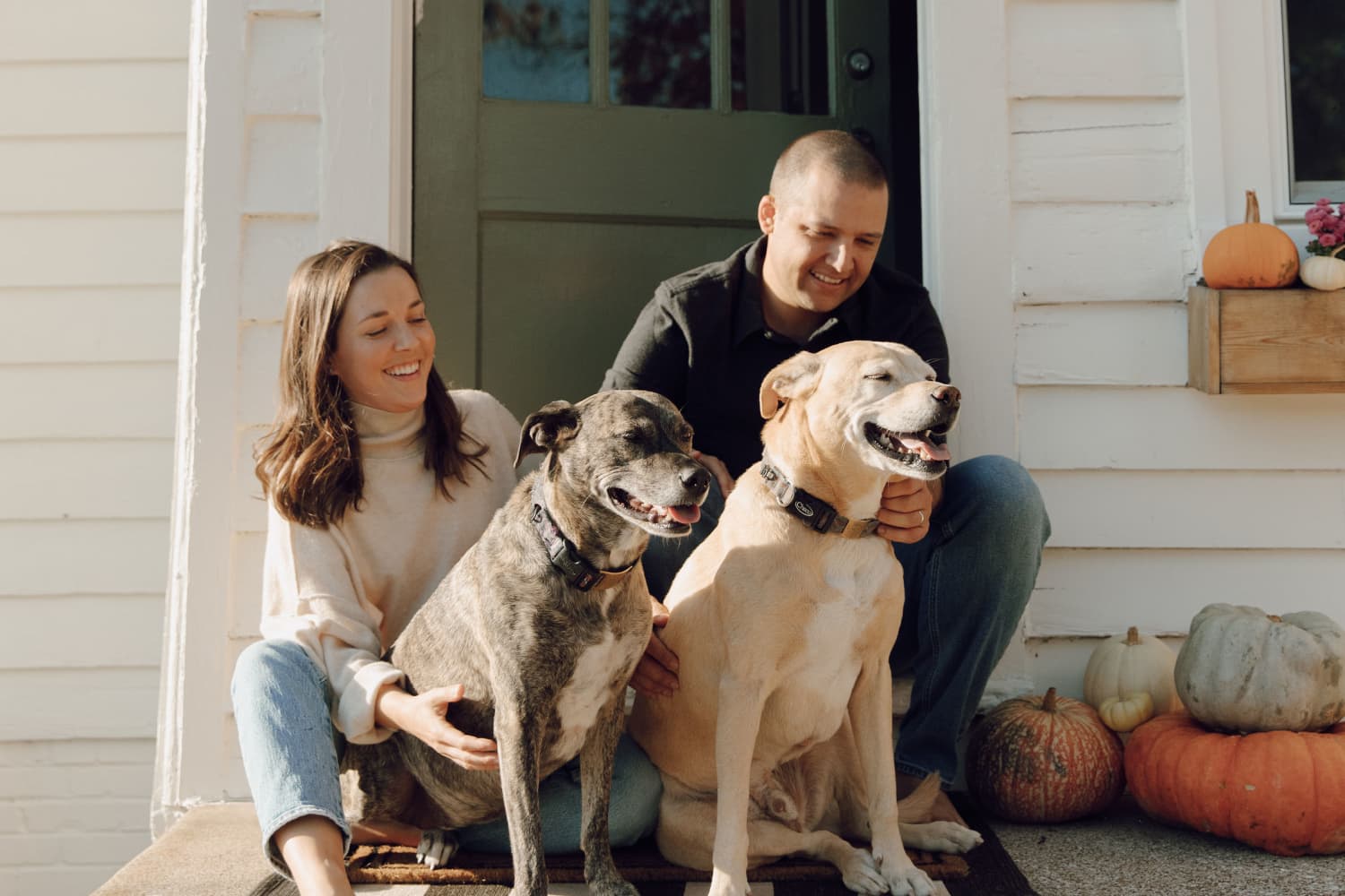 A Knoxville Couple Bought Their House Off Craigslist for the Dog Door