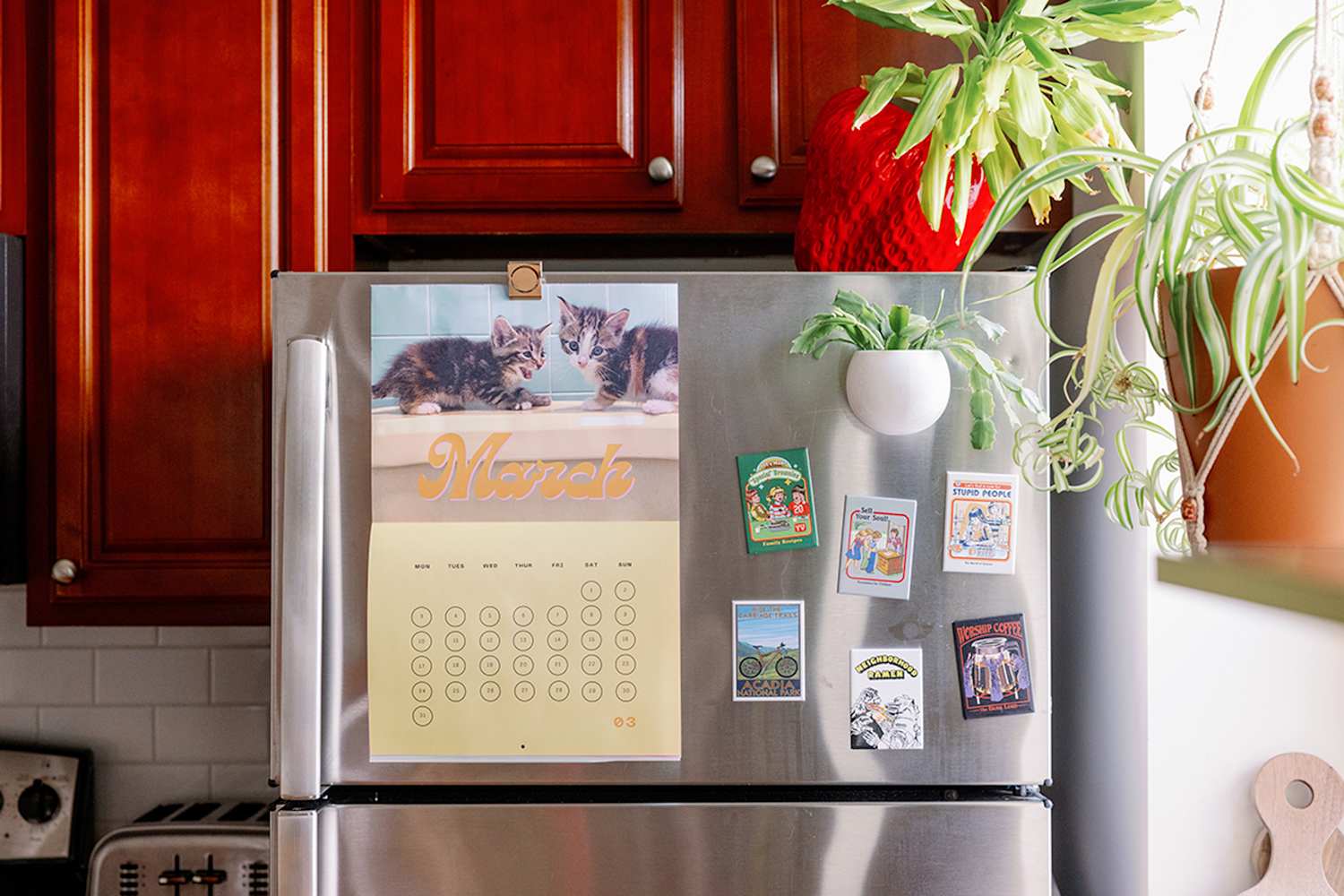 This Smart $20 Fridge Organizer Is a Brilliant Way to Upgrade Your Drink Storage