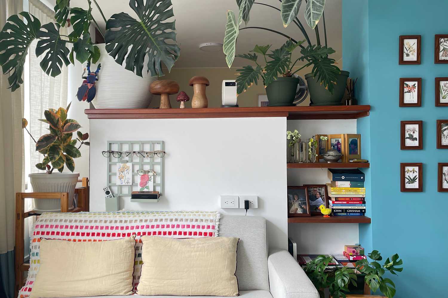 This 430-Square-Foot Studio Uses Color, Plants, and Custom Details to Feel Surprisingly Expansive