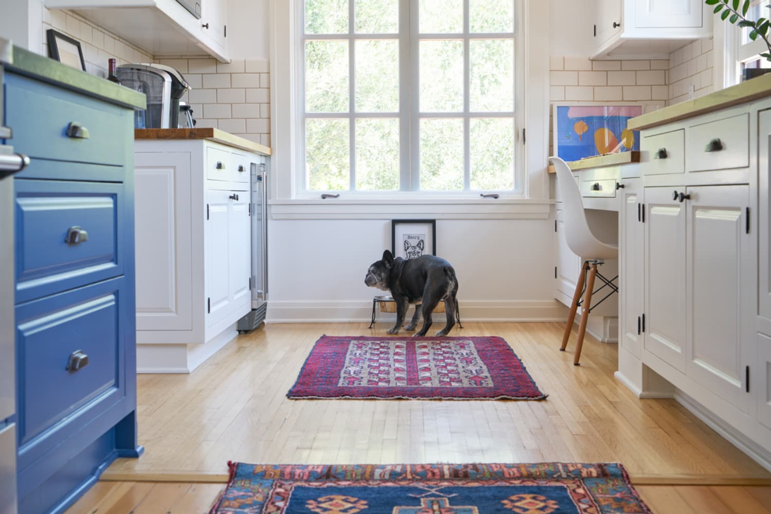 The Game-Changing Storage Container That Helps Me Pack 15 Pounds of Dog Food into a Tiny Space