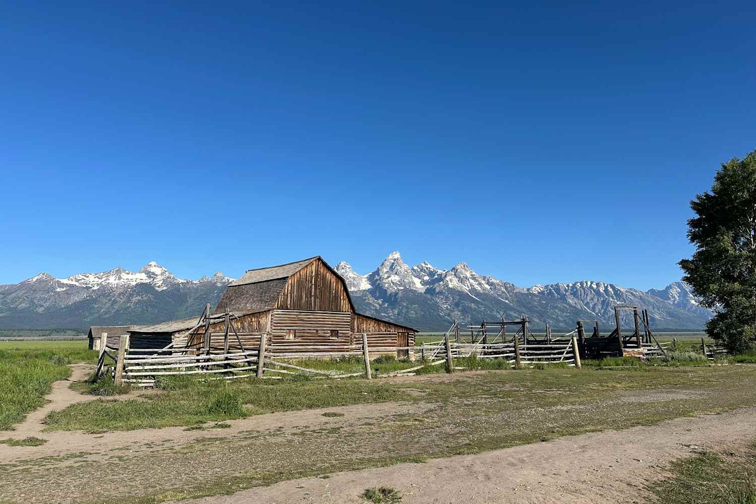 I Tried "Dry Tripping," and It Wasn't Perfect (but It Was Worth It)