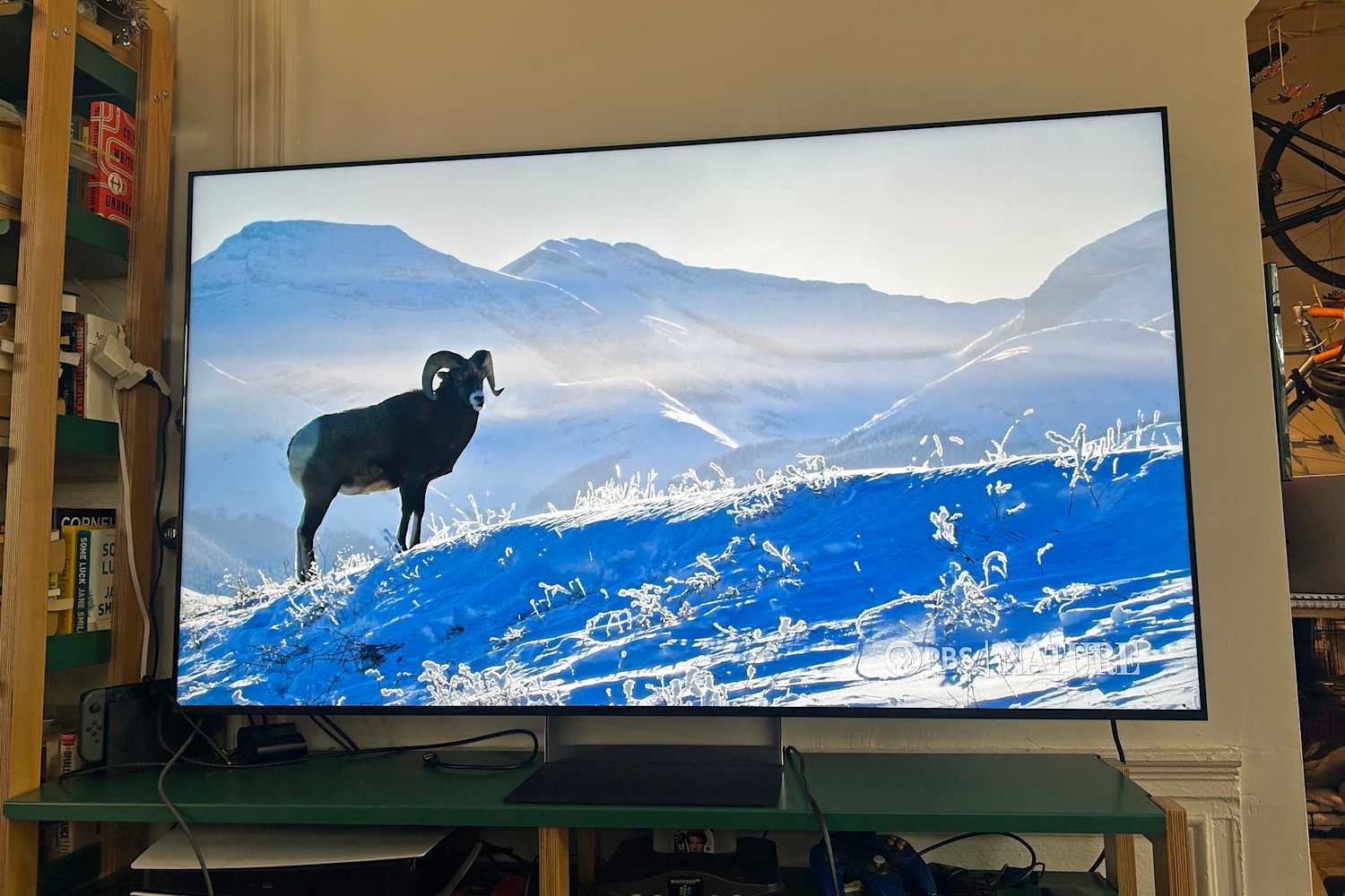 I Finally Found a TV That Works in My Too-Bright Living Room