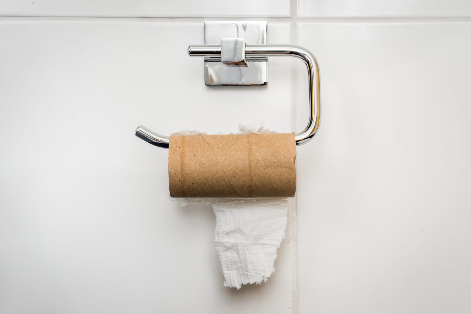 Bamboo Toilet Paper Is Better For Your Bum and the Planet