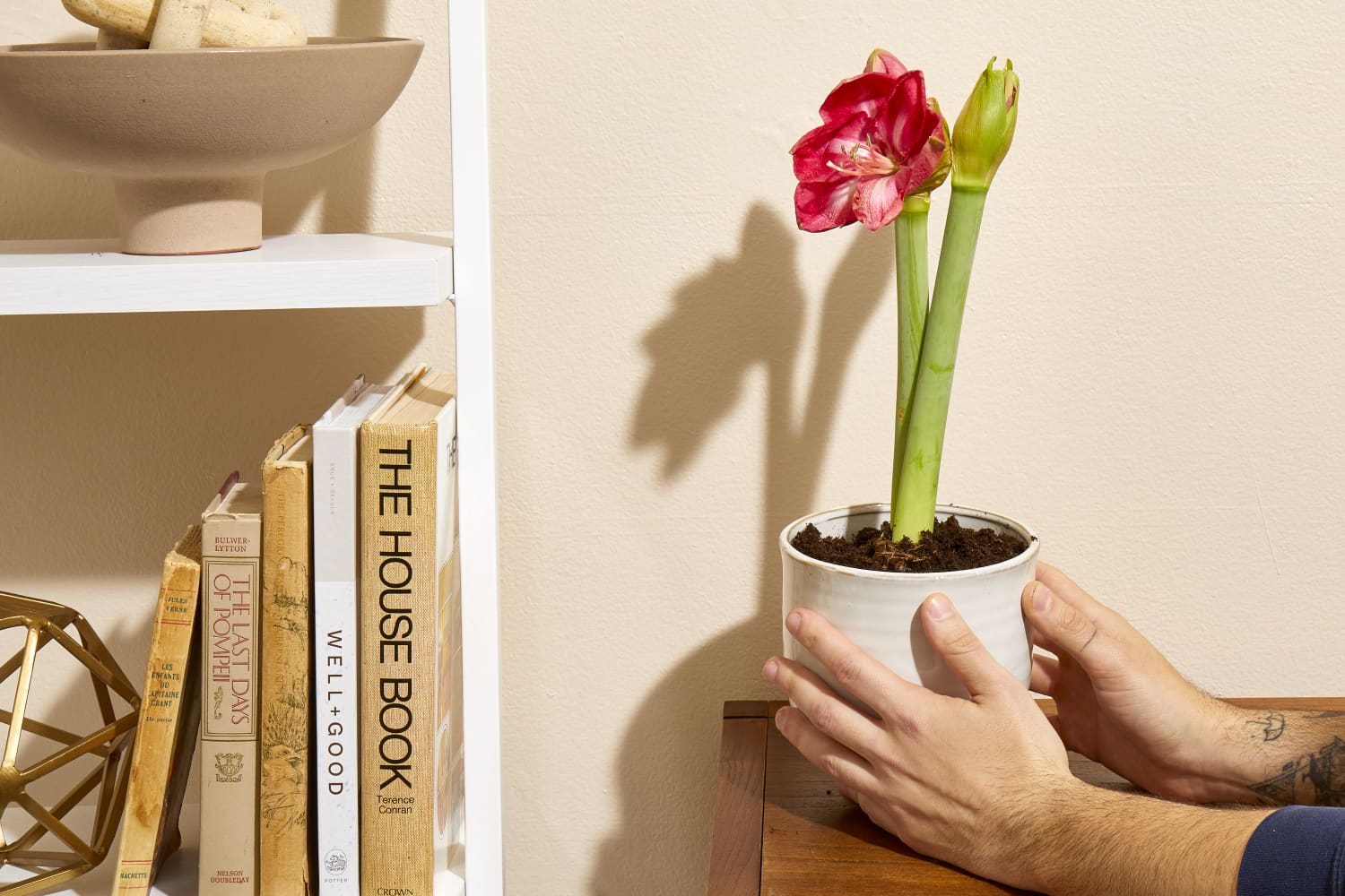 wall planter BOXSAND-24 (24