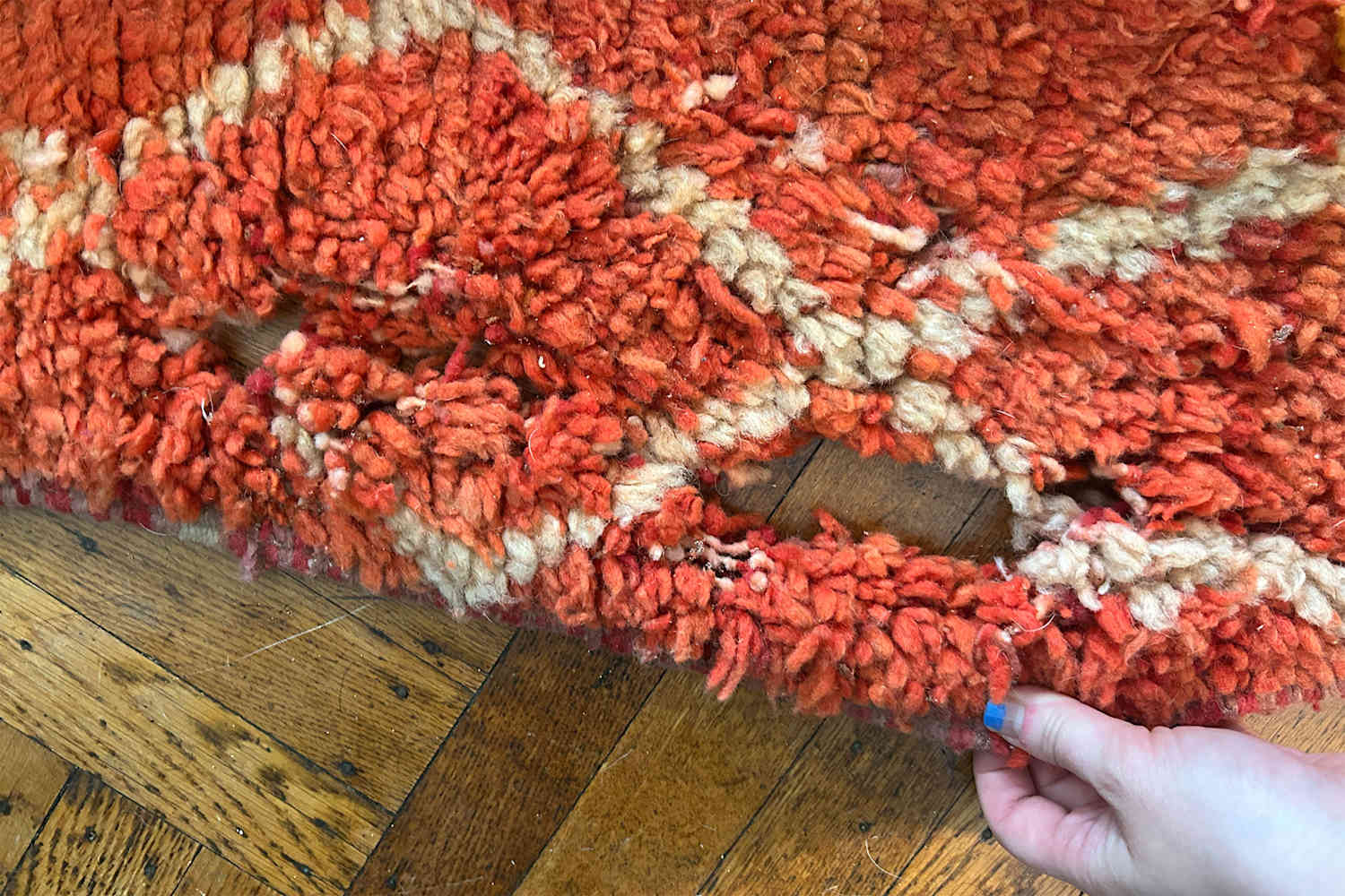 I Spent $3,000 to Get Rid of Clothing Moths So You Don't Have To