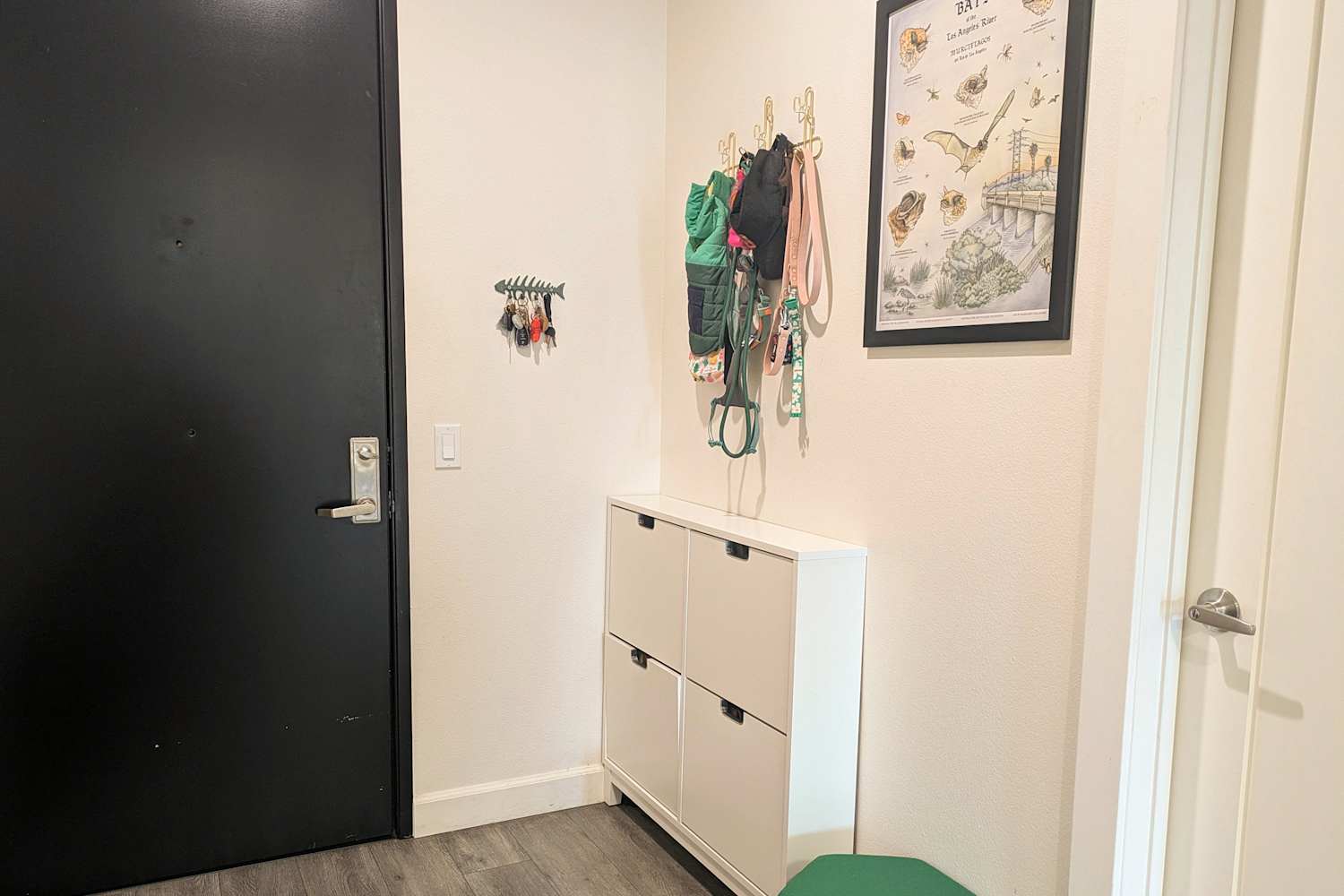 I Replaced My Bulky Shoe Rack with This Slim IKEA Cabinet (It Holds Up to 12 Pai...