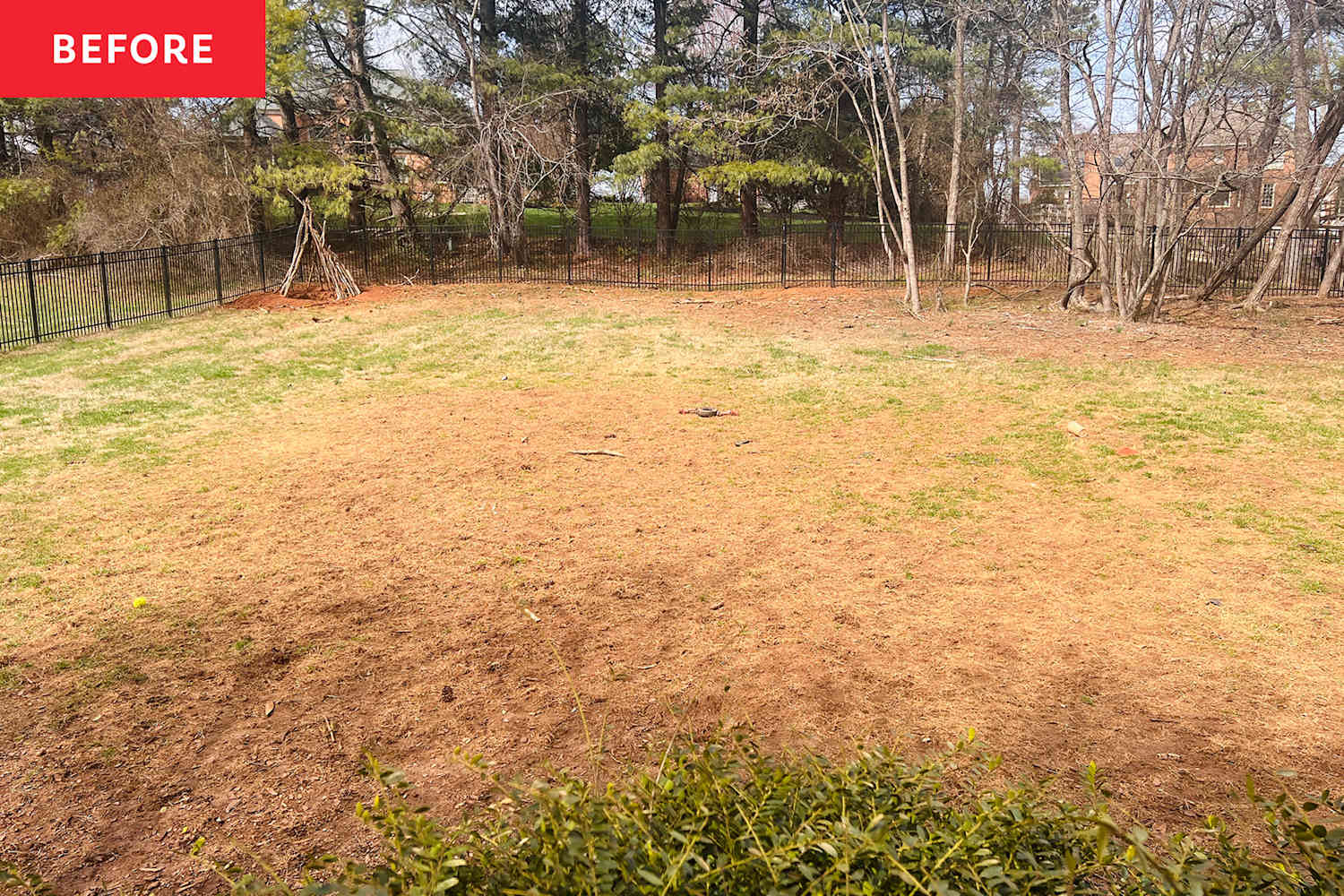 Our Backyard Was A "Muddy Mess," Now It's a Green and Serene Sanctuary