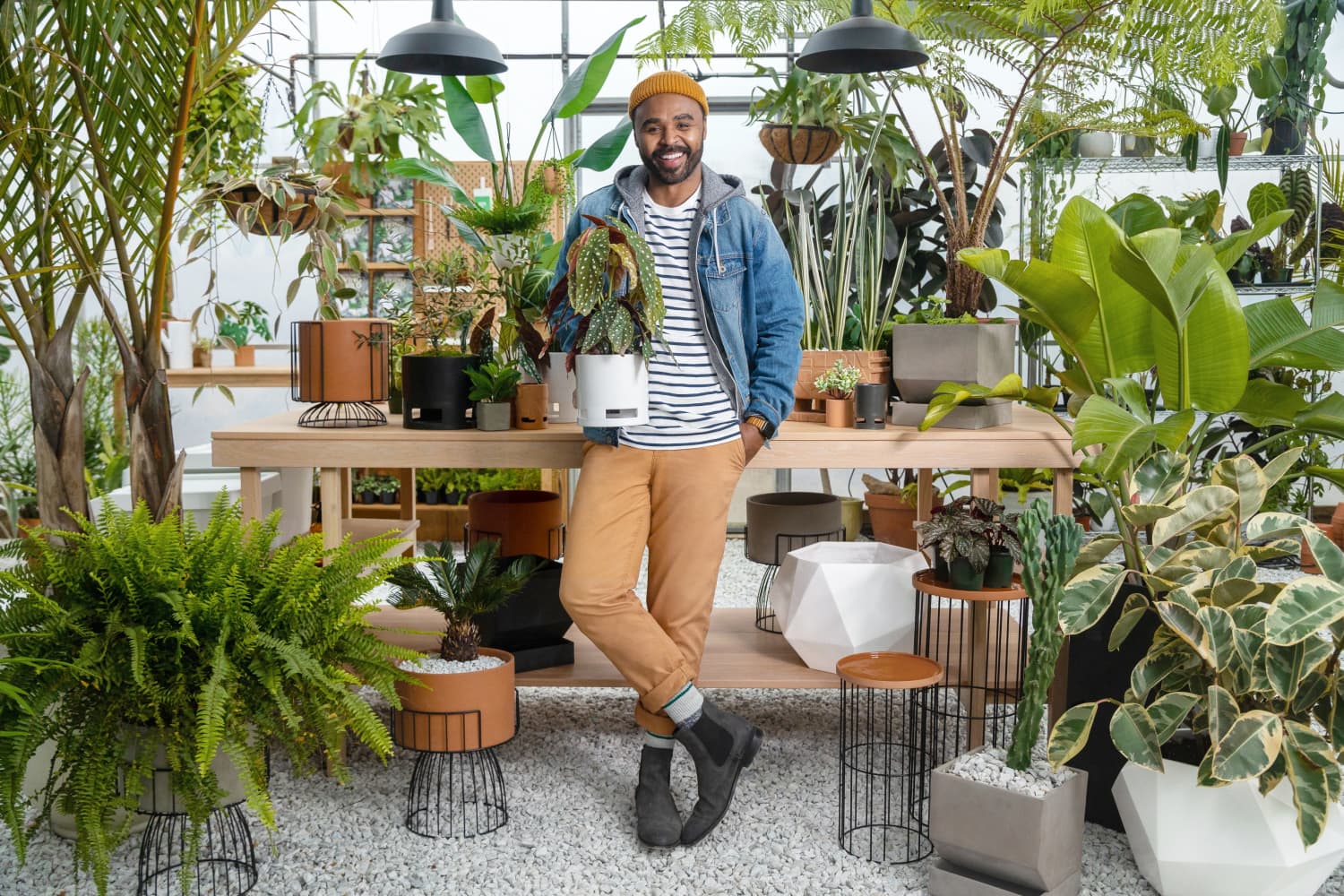 Plant Expert Hilton Carter & Target Are Launching Another Collection ...